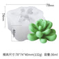 Succulent Plant Gypsum Mold Candle Molds Epoxy Resin Template Soft Silicone Birthday Holiday Gift Wedding Souvenirs Home Decor